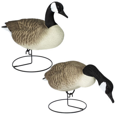 Goose Decoys Allure Decoys