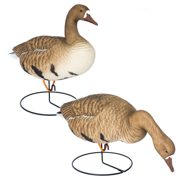 Goose Decoys Allure Decoys